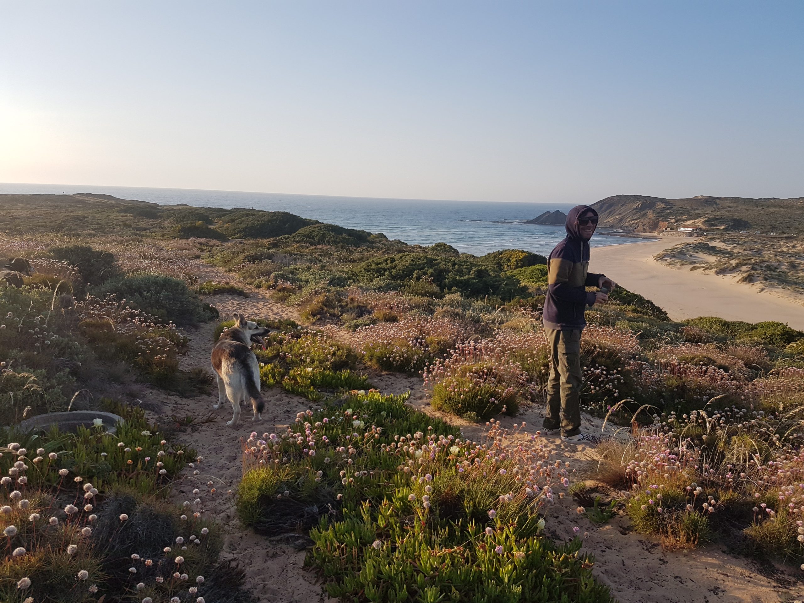 Donkey experience in Aljezur with rescued donkeys