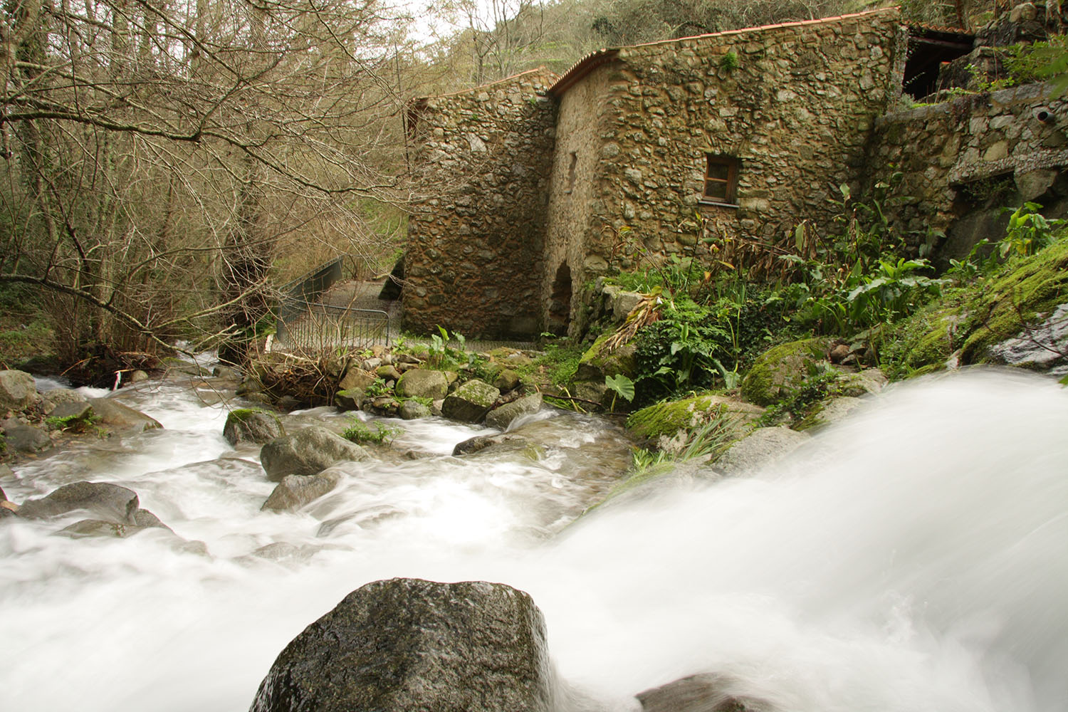 Aljezur Aktivities Hiking Monchique Westalgarve MillsTrail