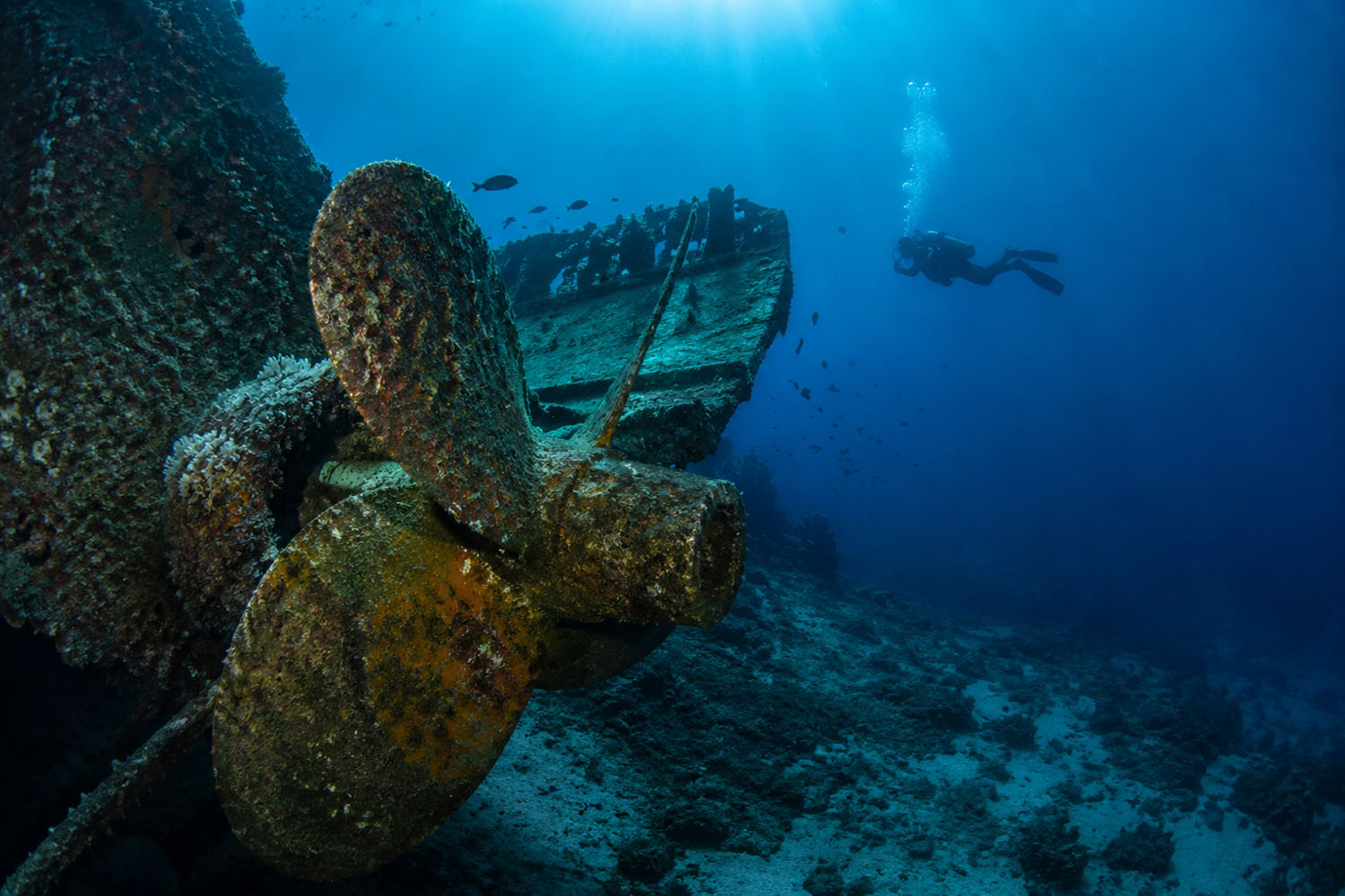 Aljezur Activities diving Sagres