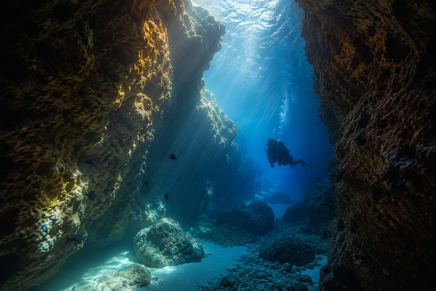 Aljezur Activities diving Sagres