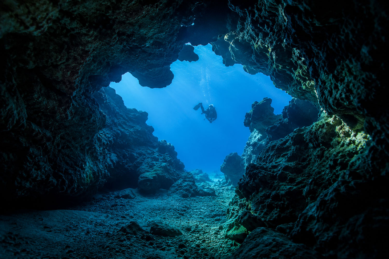 Aljezur Activities diving Sagres